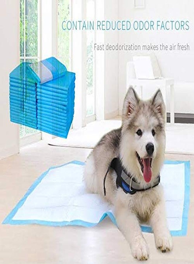 Petlicious & More (45 cm X 60 cm -10 Count) Training Pads, Super Absorbent, Water Proof, Non Slippery, 10 Count (Pack of One, Total Count - 10) - Image 2